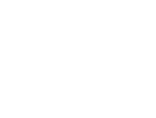 Hypallergenic - Anchorcert Pro